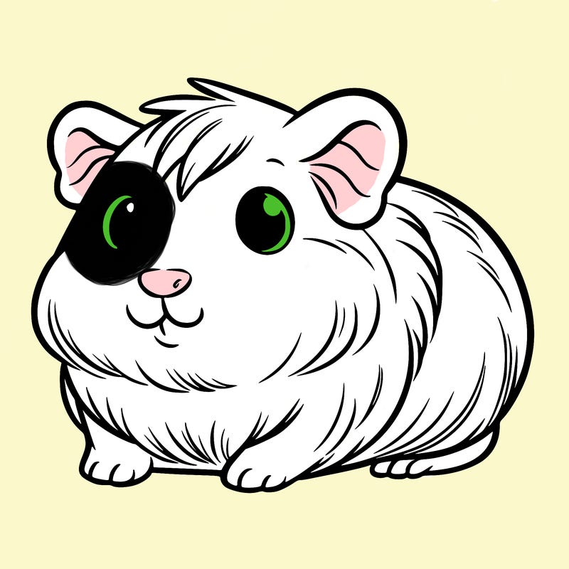 cute guinea pig