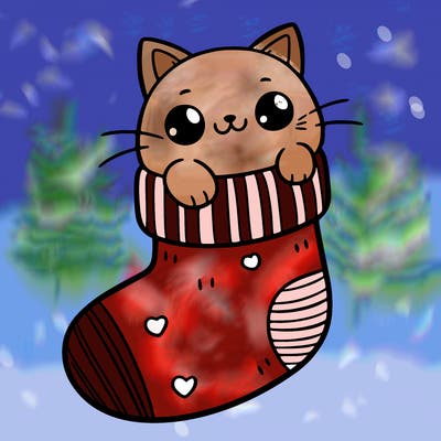 cute cat in a sock