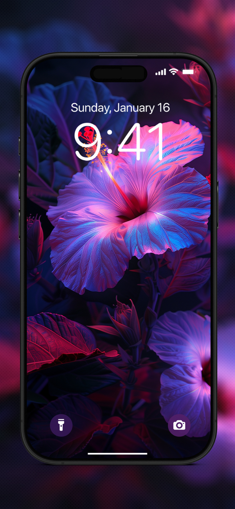 Amoled Wallpapers 4K - HD - Vibrant purple and pink hibiscus flower on an iPhone AMOLED lock screen