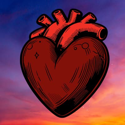 realistic heart
