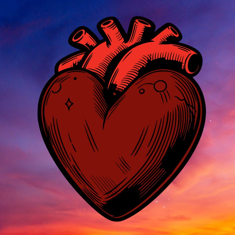 realistic heart