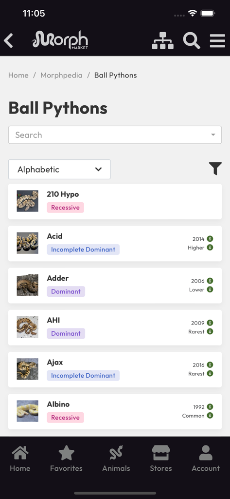 MorphMarket - Liste der Ballpython-Gen-Morphs im Morphpedia-Bereich der MorphMarket App.