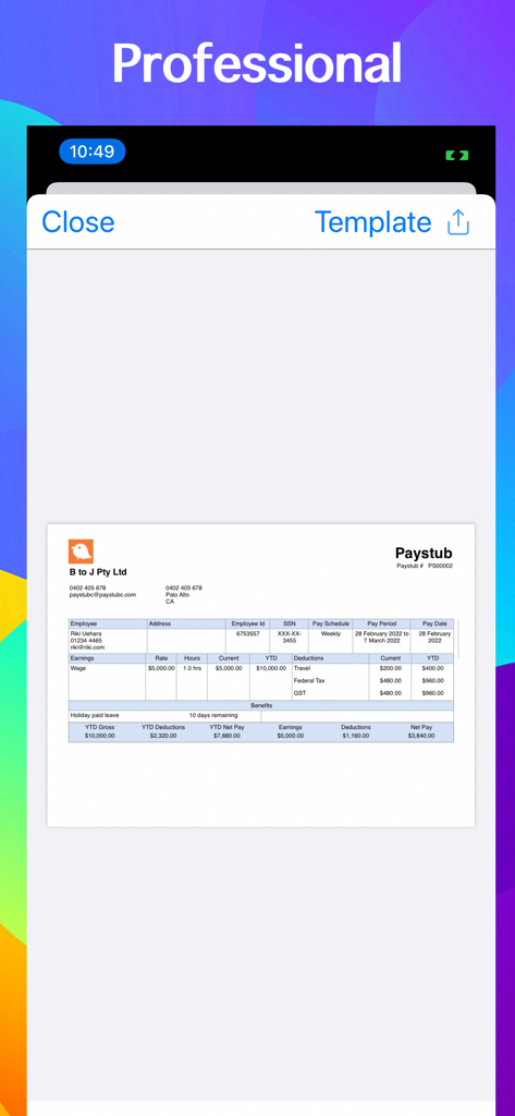 A professional paystub template displayed on a mobile device screen