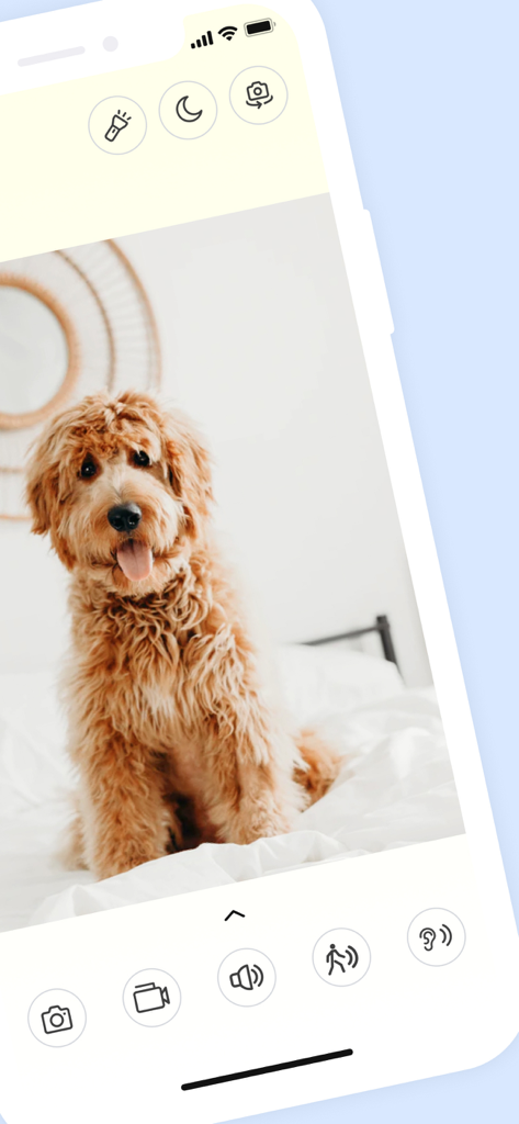 Dog monitor Doggy - Utilities App | MWM