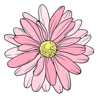 flowers_21