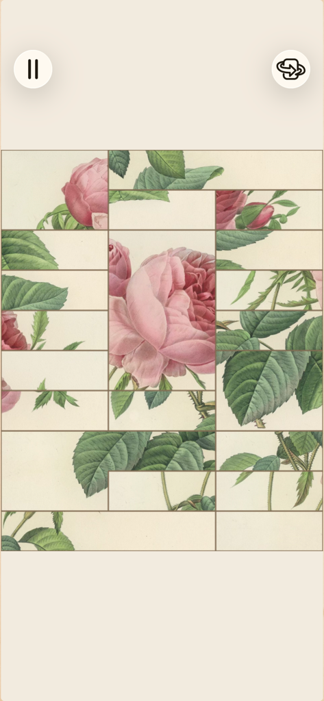 Art of Flora: Cozy Puzzles - Un puzzle de ilustración botánica vintage de una rosa en progreso dentro de la aplicación Art of Flora.