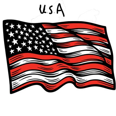 united states flag