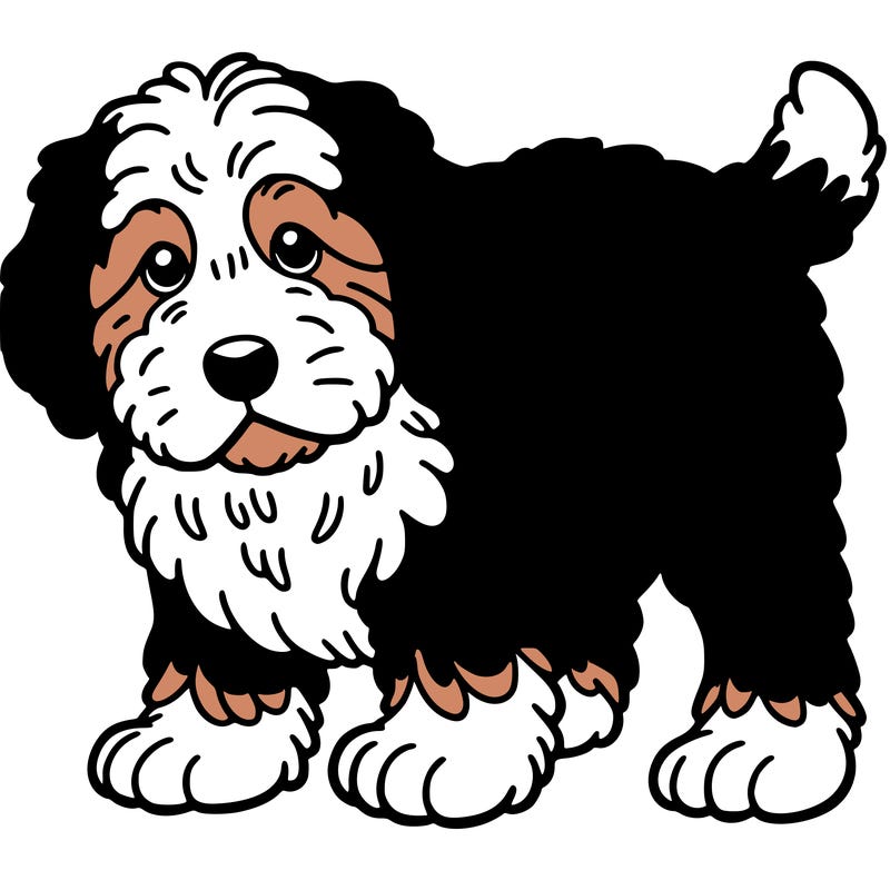 my old puppy bernedoodle is brown and white