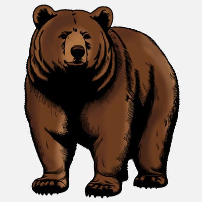 realistic bear