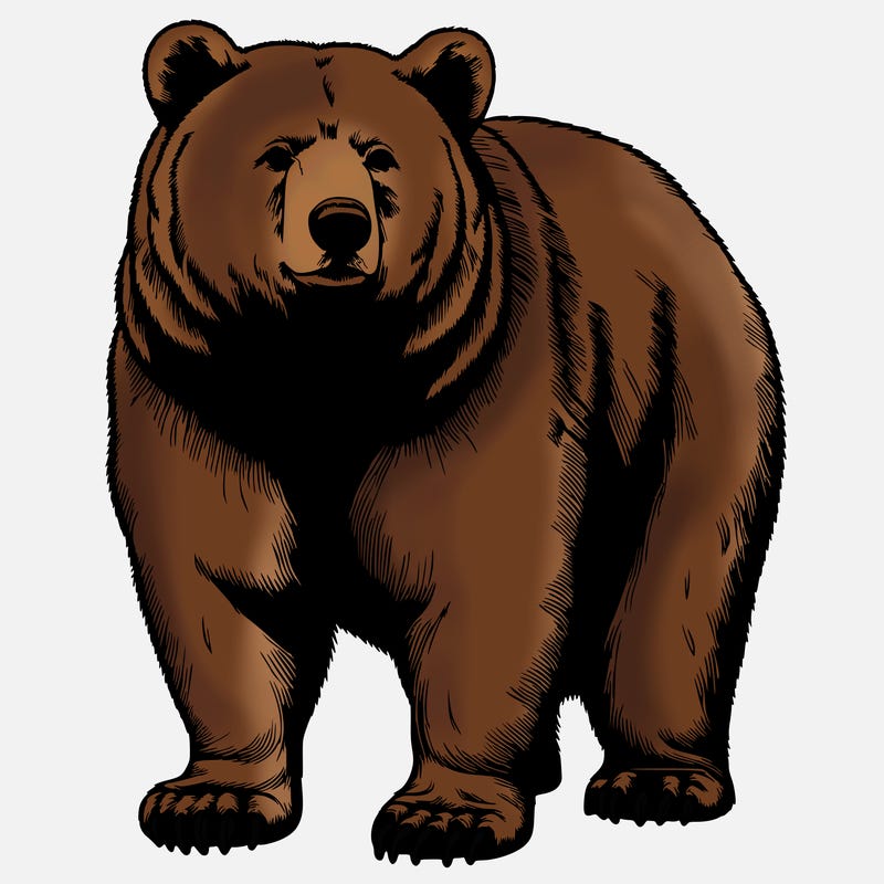 realistic bear