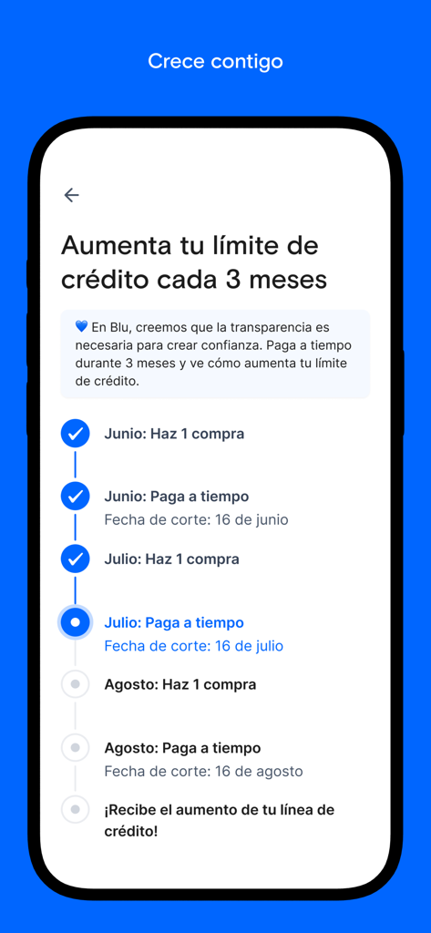 Interface of the Blu app showing a progress tracker to increase credit limit every three months