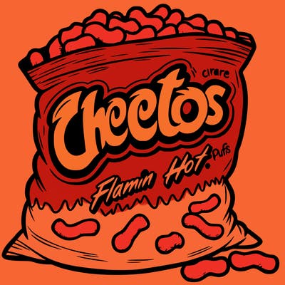 a bag of flamin hot cheeto puffs