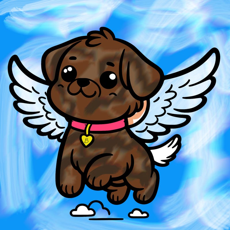 dog with wings