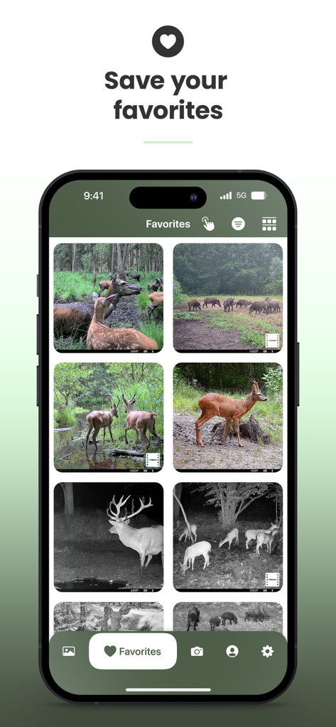 Favorites screen in the Dorr Cloud app showing a gallery of wildlife images from trail cameras