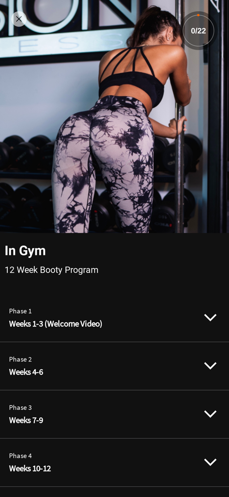 peachgainz - Peachgainz app screen showing phases of a 12 week in gym booty program