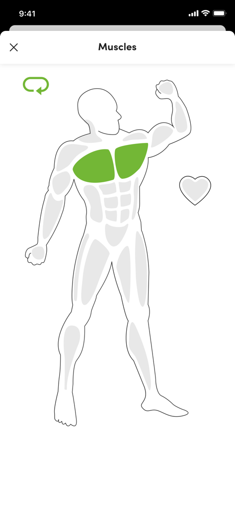 Buzz Gym - 3D human muscle map in Buzz Gym app with chest muscles highlighted in green