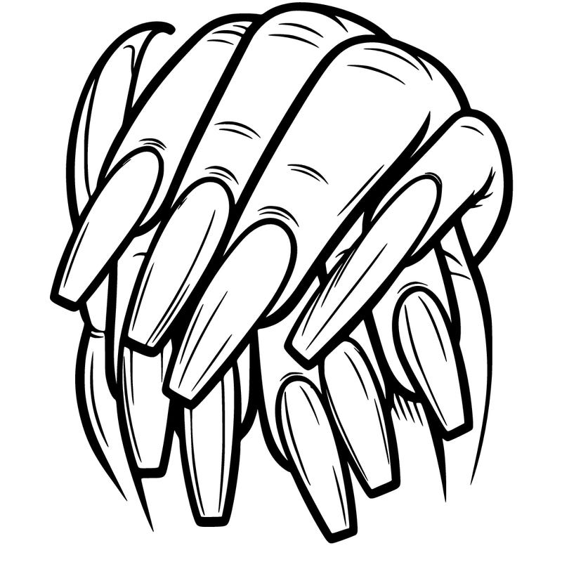 long coffin shape acrylic nails with french tip