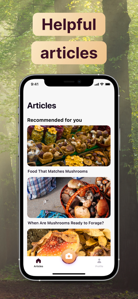 AI Mushroom Identifier App - 採取とキノコガイドを特集したAIキノコ識別アプリの記事セクション
