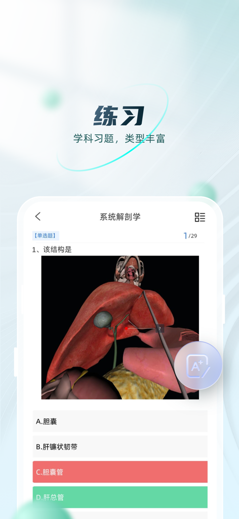 数字人解剖学STEM系统 - Anatomy quiz interface on a mobile device showing a 3D liver model and practice questions for medical students