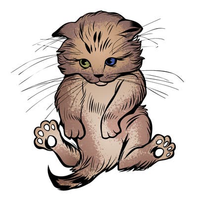 animals_20