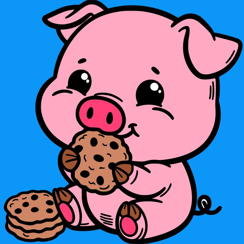 pig eating a cookie