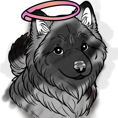 northern inuit dog with halo