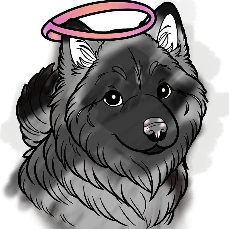 northern inuit dog with halo