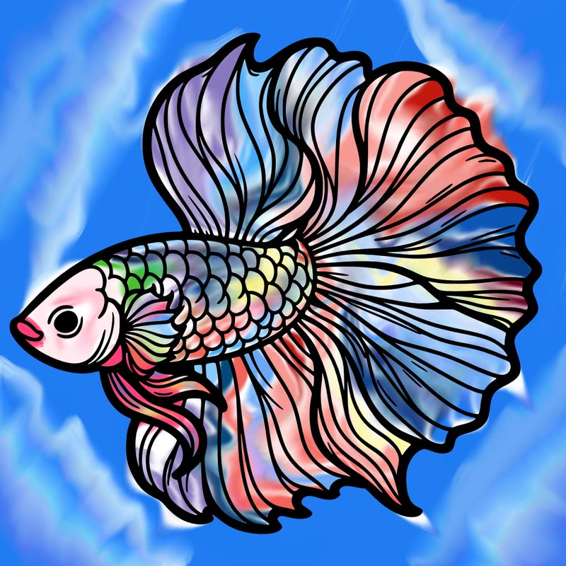 betta fish