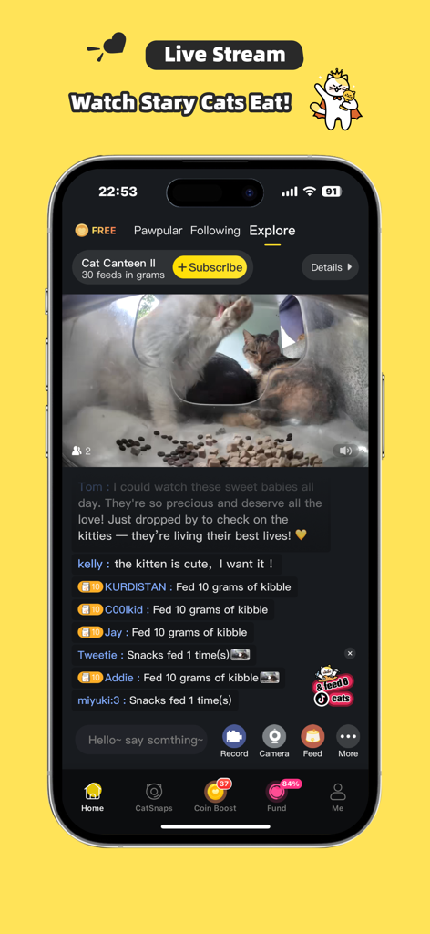 Purrrr-Feed&Rescue Stray Cats - Mobile App-Oberfläche, die einen Live-Kamerafeed von streunenden Katzen an einer Futterstation mit Benutzerkommentaren und Spendenaktivitäten anzeigt
