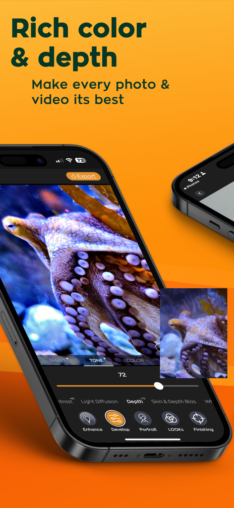 Radiant: AI Photo&Video Editor - iPhone screen displaying the Radiant AI app editing interface for rich color and depth on an octopus photo