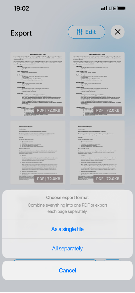 App screen showing options to export multiple document pages as a single PDF or separate files