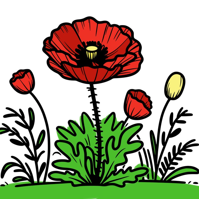 anzac poppy