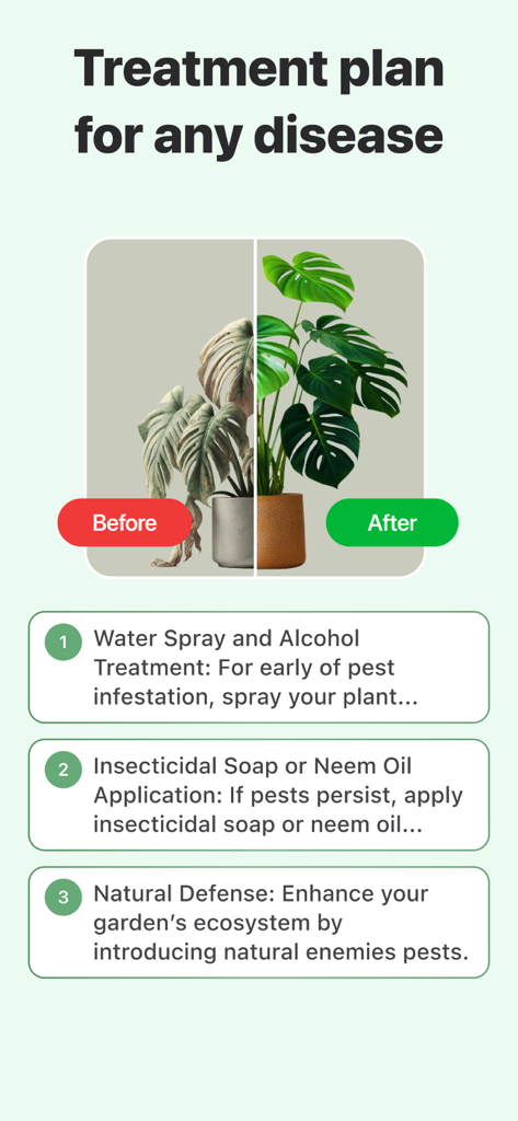Plant Disease Identifier. - 植物病害治療計画。モンステラ植物のケア手順を示した、前後の比較