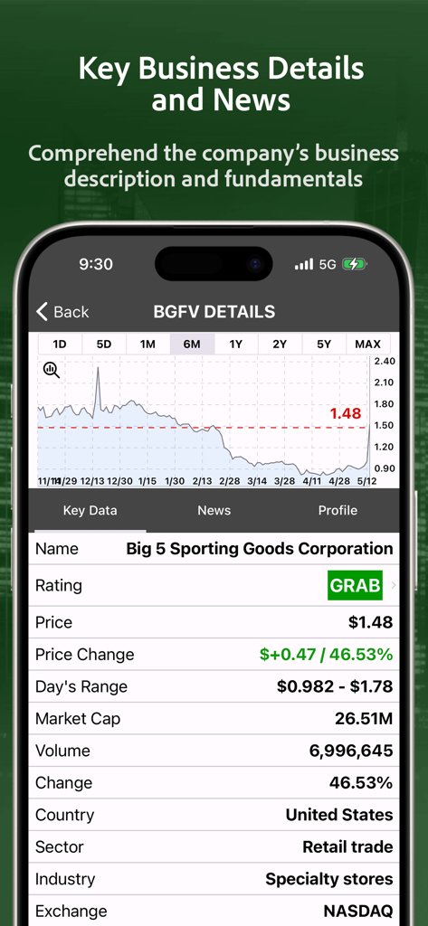 Screenshot of the PennyGems app showing stock price charts and fundamental business data for Big 5 Sporting Goods