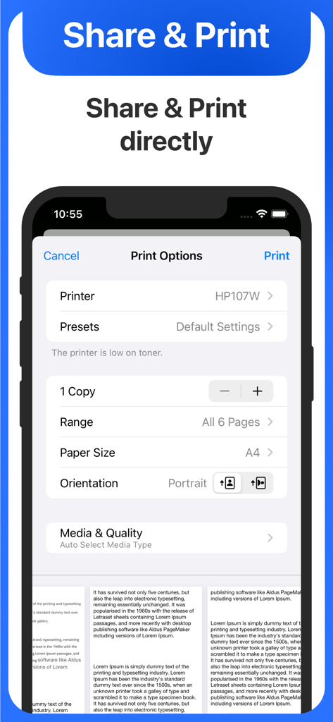 Schermata delle opzioni di stampa di iOS nell'app Text Editor che mostra le impostazioni della stampante e un'anteprima del documento.