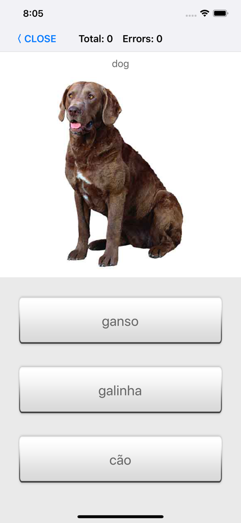 Learn Portuguese words with ST - Una pantalla de prueba de vocabulario en portugués que muestra una imagen de un perro y opciones de palabras de opción múltiple
