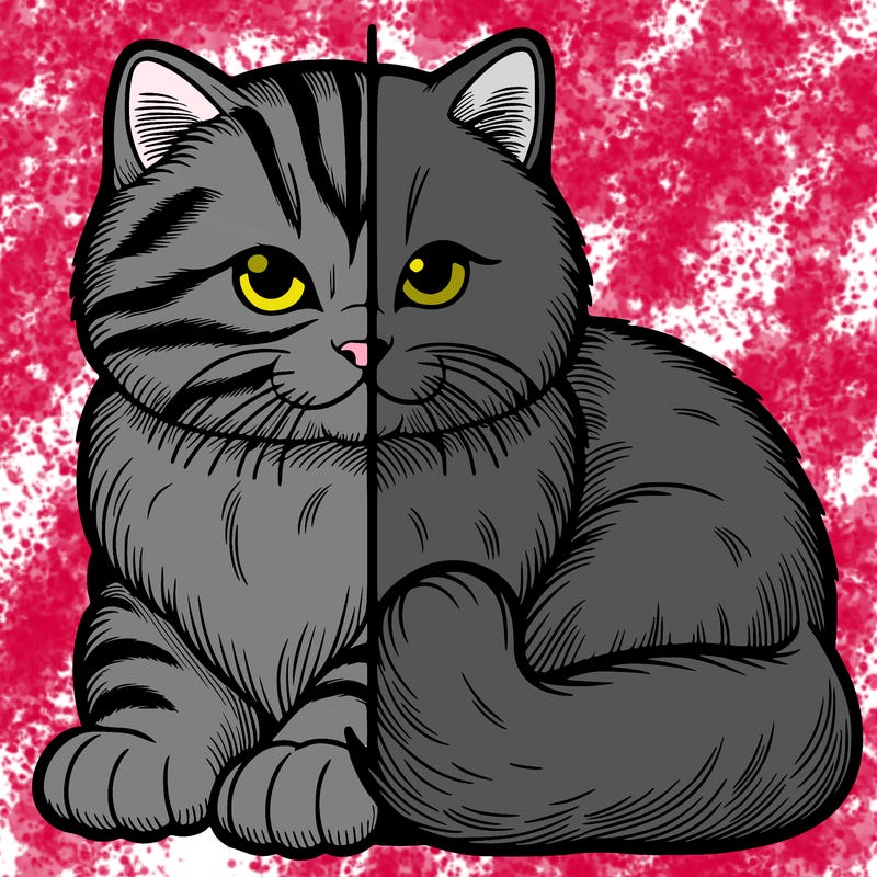 realistic split cat