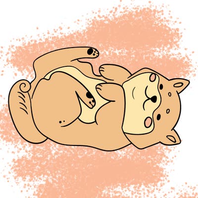animals_30