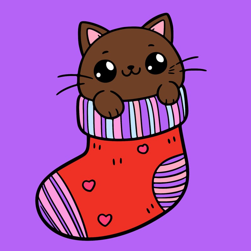 cute cat in a sock