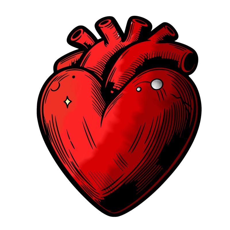 realistic heart