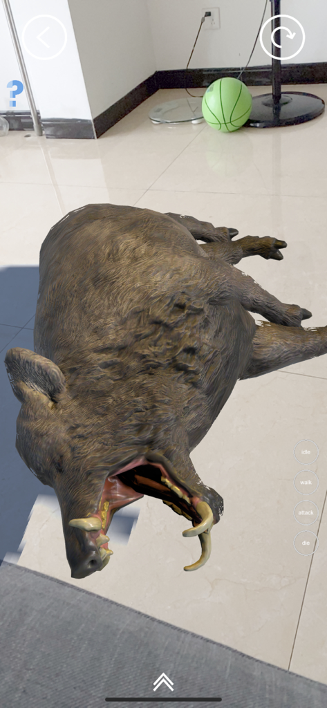 リアルAR拡張現実アプリで、タイルの床に口を開けて表示されたリアルな3D拡張現実イノシシ。