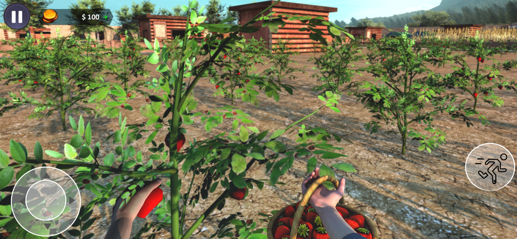 American Farming Simulator - Perspectiva en primera persona de recoger fresas en una cesta en un juego de simulación de agricultura