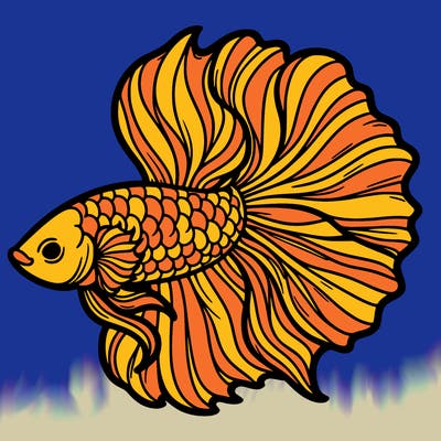 betta fish