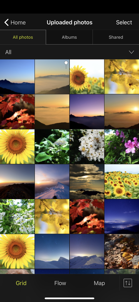 Une vue en grille de photos téléchargées dans l'application NIKON IMAGE SPACE montrant des paysages et des fleurs