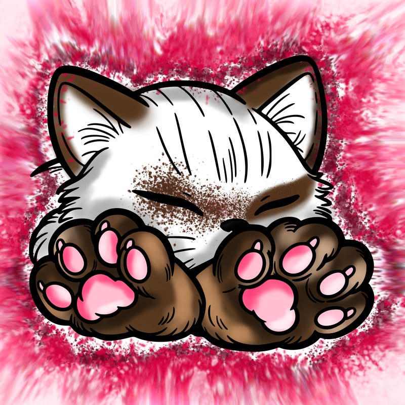 kitten paws