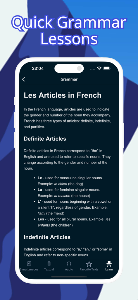 A mobile app screen displaying a French grammar lesson about definite and indefinite articles with examples.