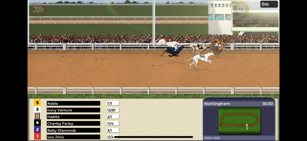Greyhound Manager Touch - A greyhound racing event at Nottingham stadium with leaderboard and odds in Greyhound Manager Touch.