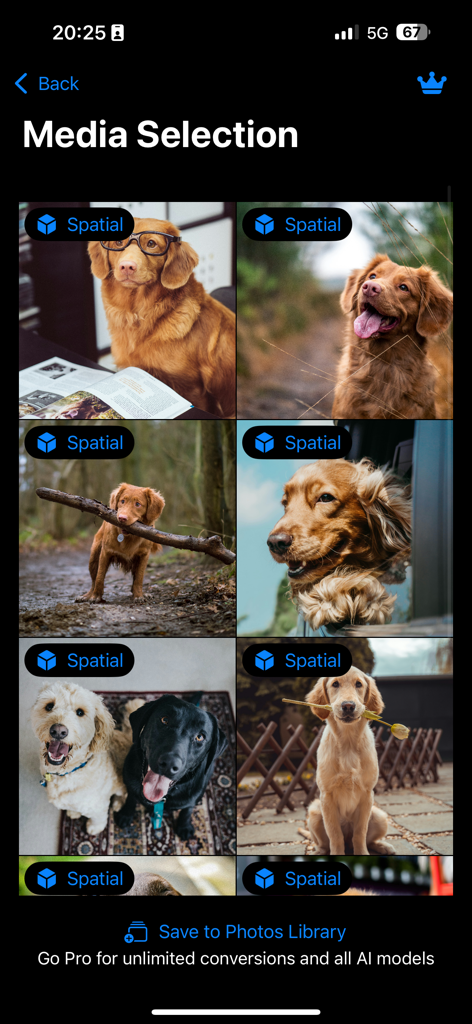 Spatial Video Studio - Media selection screen in Spatial Video Studio app showing a grid of converted dog photos with spatial badges