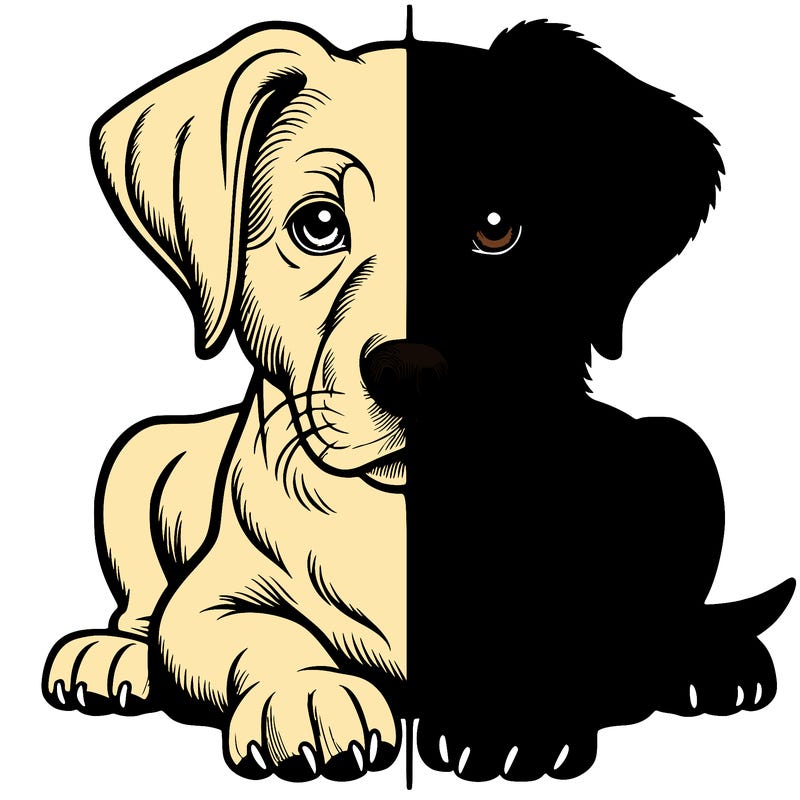 realistic dog split picture