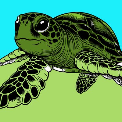 realistic sea turtle